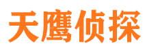 龙沙市侦探公司